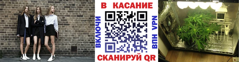 Цена Остров Бошки Шишки  Alpha-PVP  Меф мяу мяу 