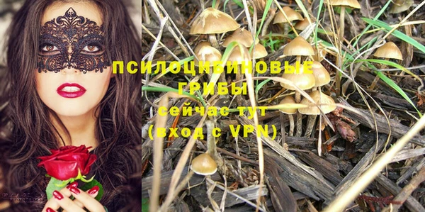 трава Лихославль